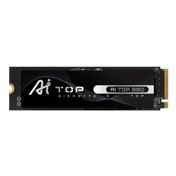 اس اس دی اینترنال گیگابایت AI TOP 100E ظرفیت 320 گیگابایت