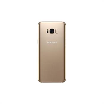 گوشی موبایل سامسونگ گلکسی S8 Plus با قابلیت 4 جی 64 گیگابایت دو سیم کارت - 7