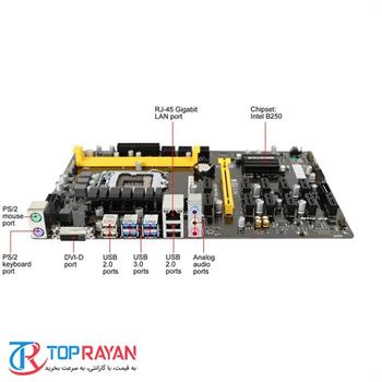 مادربرد بایوستار TB250-BTC PRO - 4