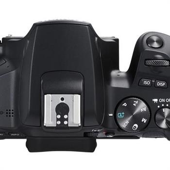 دوربین عکاسی کانن Canon EOS 250D - 9