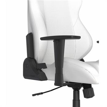 صندلی گیمینگ دی ایکس ریسر مدل Drifting Series 2025 L White - 10