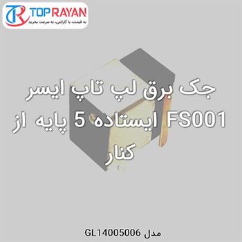 جک برق لپ تاپ ایسر FS001 ایستاده 5 پایه از کنار