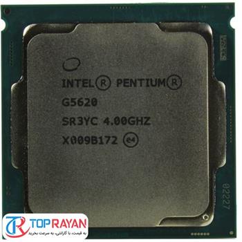 سی پی یو اینتل بدون باکس Pentium Gold G5620 CPU - 4