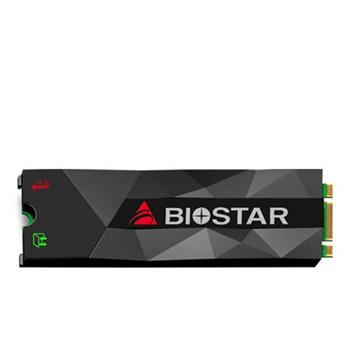 حافظه اس اس دی بایوستار مدل ام ۵۰۰ با ظرفیت ۵۱۲ گیگابایت - 3