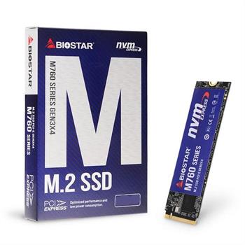 حافظه SSD بایوستار Biostar M760 256GB M2