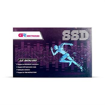 اس اس دی Gritronix ظرفیت 256GB - 2
