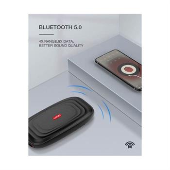 اسپیکر بلوتوثی قابل حمل الدینیو مدل BTS11 - 10