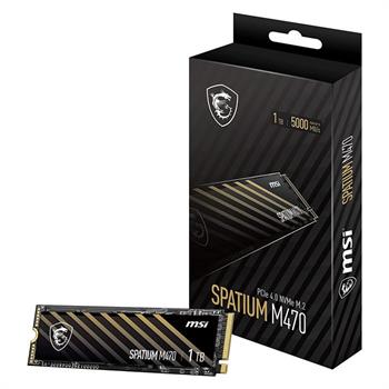 اس اس دی اینترنال ام اس آی مدل SPATIUM M470 M.2 ظرفیت 1TB - 6