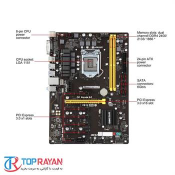 مادربرد بایوستار TB250-BTC PRO - 3