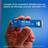 وسترن دیجیتال  WD Blue SN5000 NVME  2TB SSD Drive  - 2