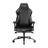 DXRacer Craft Series 2025 XL 2025 Gaming Chair - 2