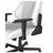 دی ایکس ریسر  Drifting Series 2025 L White Gaming Chair - 9