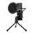 Yanmai X1R RGB Condenser Studio Microphone - 2