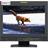 JVC DT-V17G1 Monitor 17 Inch - 2