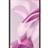Xiaomi 11Lite 5G NE 128GB 6GB RAM 5G Dual SIM Mobile Phone - 7