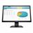 HP P204 19.5 inch Monitor - 3