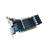 ASUS GeForce GT710 SL 2GD3 BRK-EVO Graphics Card - 4