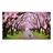 X.Vision 65XTU815 Smart LED TV 65 Inch - 5