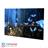 AOC 22B1HS 21.5 inch Full HD 60Hz IPS Monitor - 5
