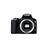 Canon EOS 250D Body camera - 4