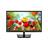 LG LED Monitor 19EN33S - 3