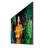 Samsung Crystal UHD Signage QMC (LH65QMCEBGCXUE) 65 Inch 4K 8ms 75Hz VA Monitor - 2