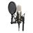 RODE NT2-A Studio Microphone  - 5