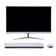 EFK VIPER Core i7 11700 16GB 256GB SSD Intel 24 inch All in One PC