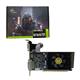 DLI GeForce GT610 2GB DDR3 64Bit Graphics Card