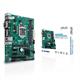 ASUS Pro A520M-C/CSM AM4 Motherboard