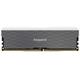 Asgard LOKI W2 RGB DDR4 8GB 3200MHz CL16 Single Channel Desktop RAM