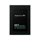 Team Group GX1 960GB Internal SSD Drive