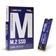 Biostar M760 256GB Internal SSD Drive