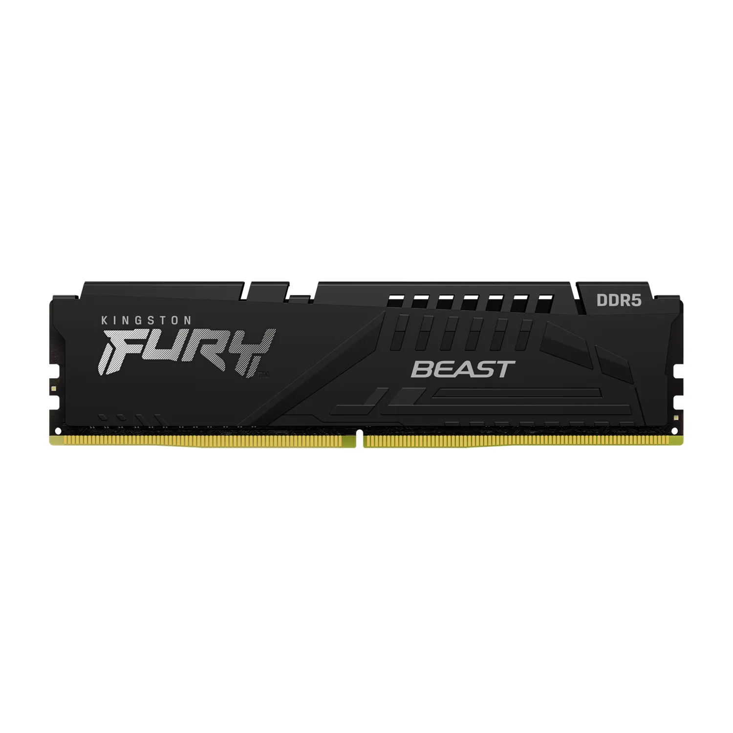 Kingston Fury Beast 8GB 5600MHz single Channel DDR5 CL40 Black Desktop Ram