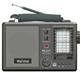 marshal ME-1113 Bluetooth Radio