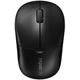 Rapoo 1090P-Wireless-Optical-Mouse