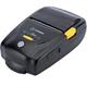 Sewoo LK-P21 Fish Printer