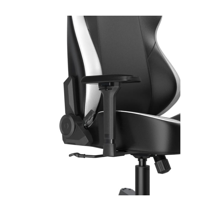 صندلی گیمینگ دی ایکس ریسر Tank Series 2025 Black White - 9
