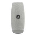 Proone PSB4108 Wireless Portable Speaker