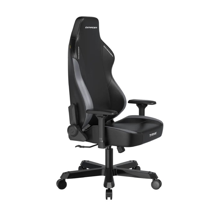 صندلی گیمینگ دی ایکس ریسر Tank Series 2025 Black Gray - 3