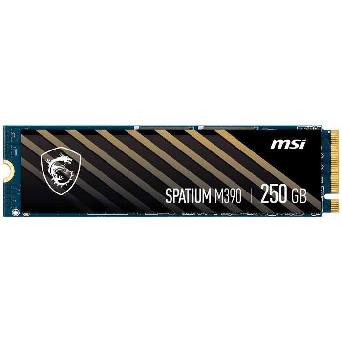 اس اس دی اینترنال ام اس آی مدل SPATIUM M390 NVMe M.2 ظرفیت 250GB