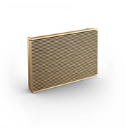 Bang And Olufsen Beosound Level Bluetooth Speaker