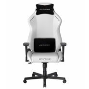 دی ایکس ریسر  Drifting Series 2025 L White Gaming Chair