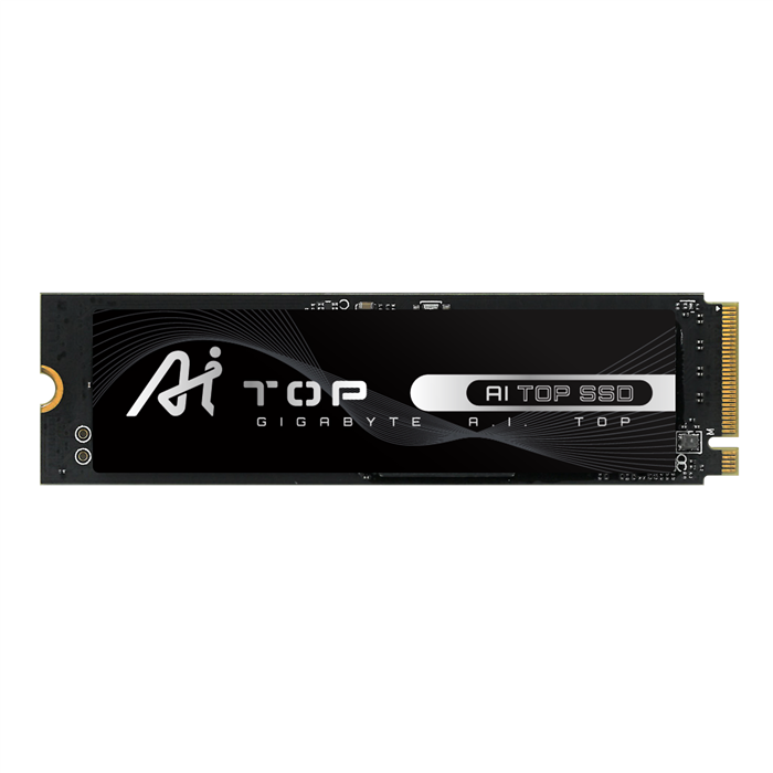 اس اس دی اینترنال گیگابایت AI TOP 100E ظرفیت 320 گیگابایت