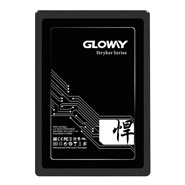 Gloway  Stryker Series 512GB Internal SSD
