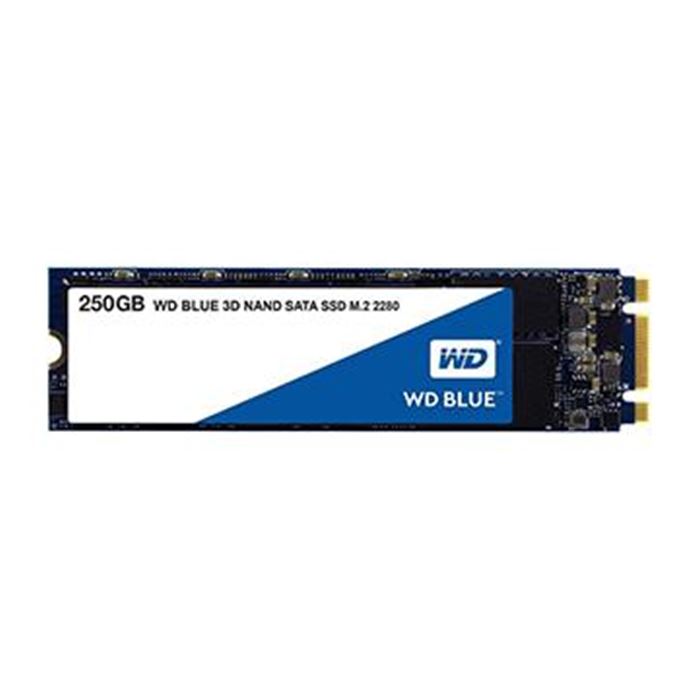 اس اس دی اینترنال وسترن دیجیتال مدل Blue ظرفیت 250 گیگابایت - 8