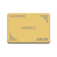 X-Energy GOLD 256GB Internal Ssd Drive