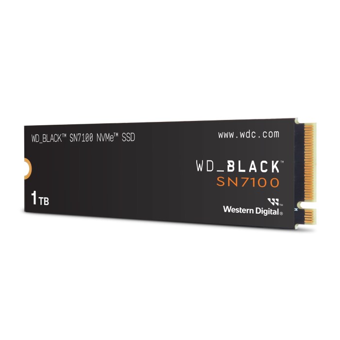 اس اس دی اینترنال وسترن دیجیتال SN7100 ظرفیت 1 ترابایت - 2