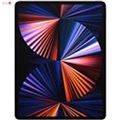 اپل  iPad Pro 12.9 inch 2021 WiFi 2TB Tablet