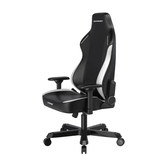 صندلی گیمینگ دی ایکس ریسر Tank Series 2025 Black White - 2